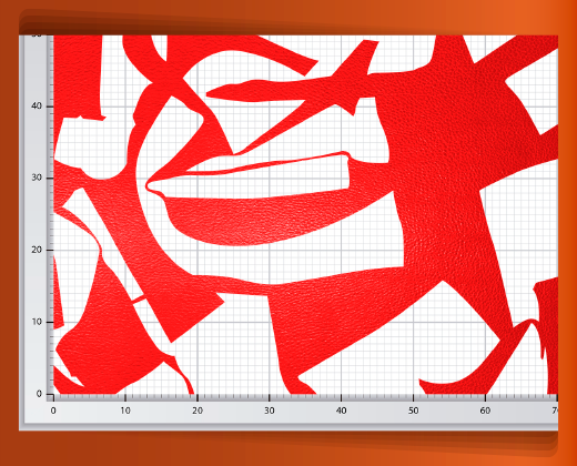 pedaceria-de-piel-en-red-44