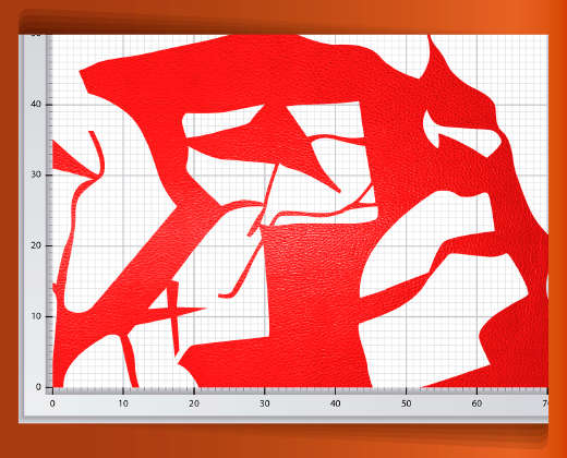 pedaceria-de-piel-en-red-45